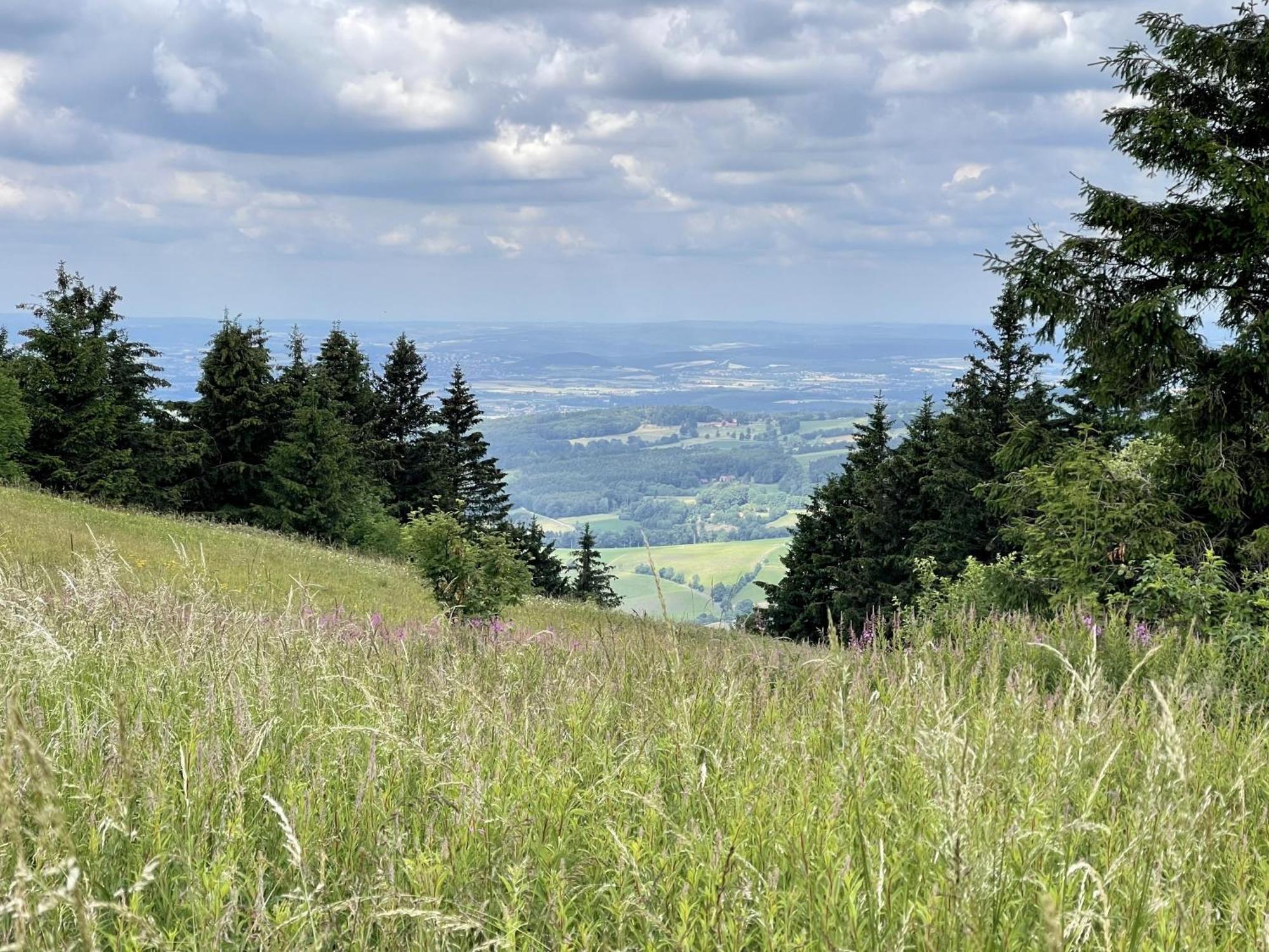 Landhotel Hubertus Unterelsbach Exteriér fotografie