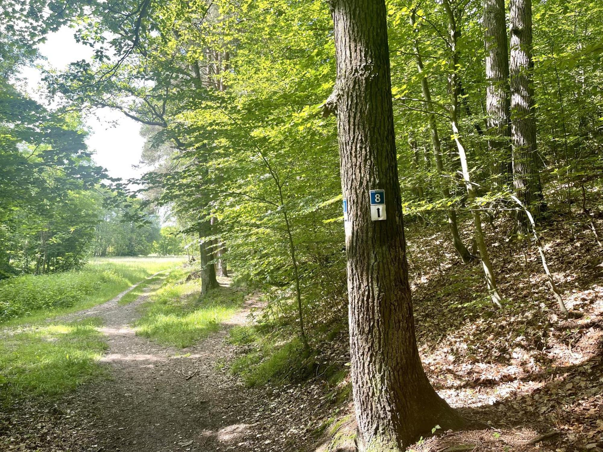 Landhotel Hubertus Unterelsbach Exteriér fotografie
